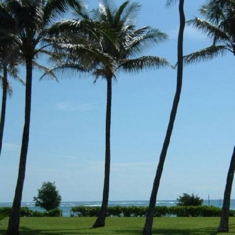 Fairway Villas 檀香山 外观 照片